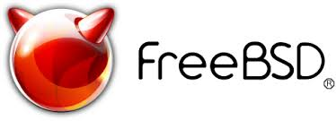  FreeBSD 11.1